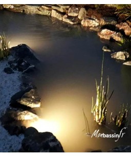 Éclairage de bassin : idées lumineuses pour le bassin de jardin