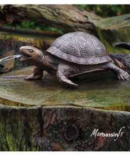statue jardin -petite tortue