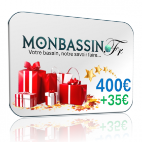 Carte cadeau idée bassin 400 e