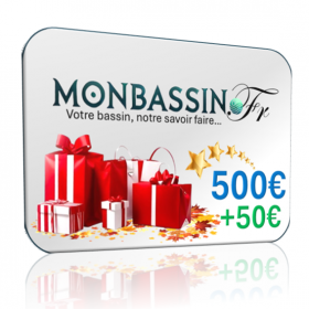 Carte cadeau idée bassin 500 e