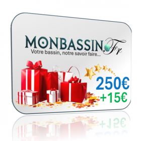 Carte cadeau idée bassin 250 e
