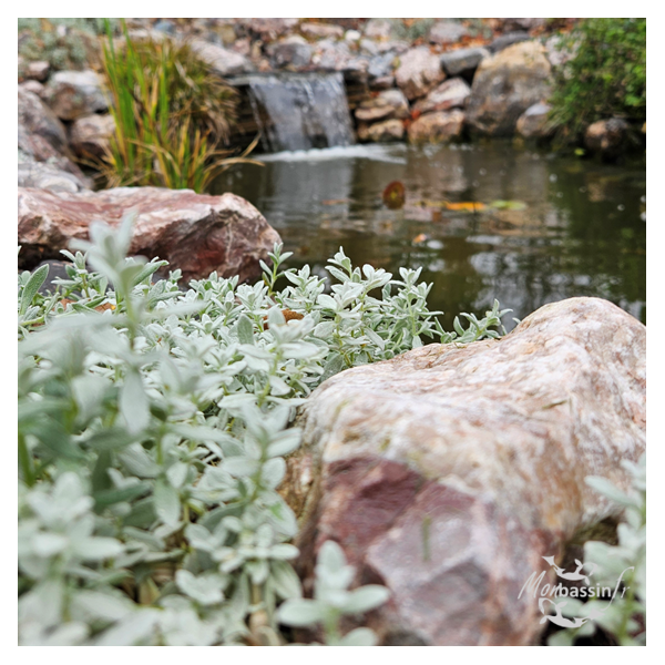 bassin avec roches 90-600 mm