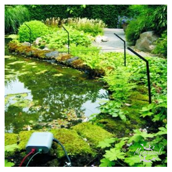 Pond Protector 40m - Clôture Anti-Héron Efficace | Velda