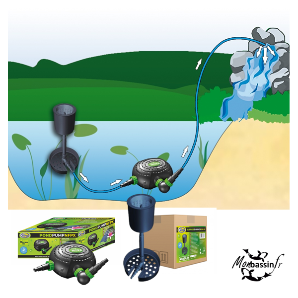 🎁 Idée Cadeau Noël : Kit Bassin 116€ (-60€) | Dernier !