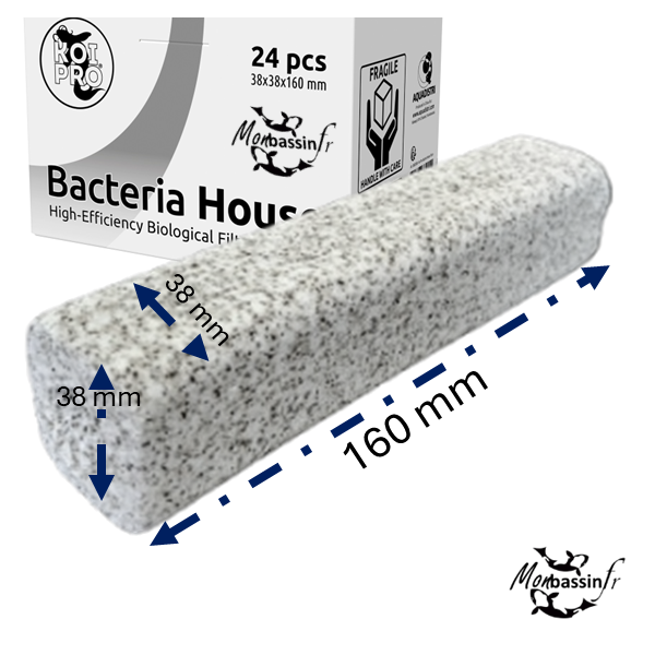 dimensions: Bacteria Home