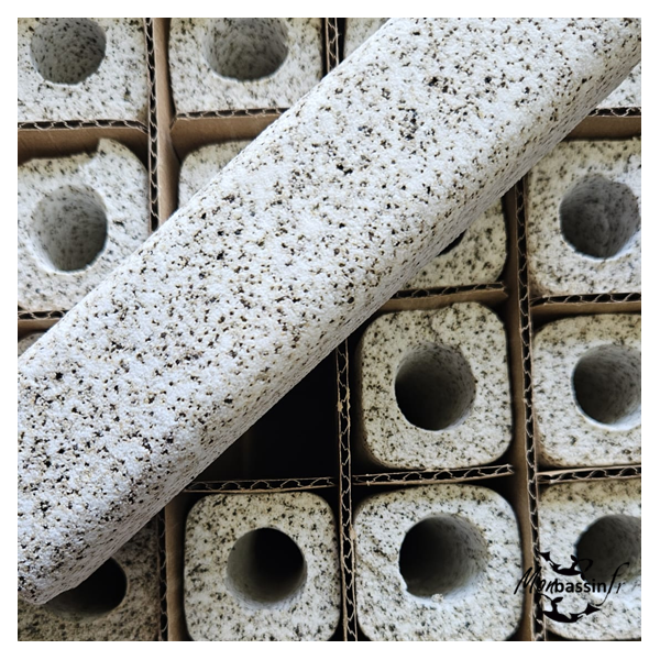 interieur de la boite Bacteria Home