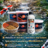Pack Nourriture 4 Saisons pour Poissons de Bassin