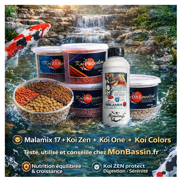 nourriture poisson bassin naturel