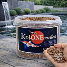 Nourriture Koï One Excellent 6mm - Granulés Très Grandes Carpes