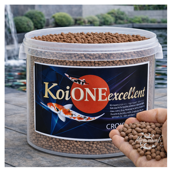 Nourriture Koï One Excellent 6mm - Granulés Très Grandes Carpes