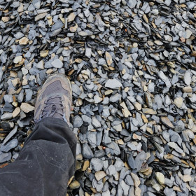 Ardoise Pilée Tigrée 10/40 mm - Paillage Décoratif | MonBassin.fr
