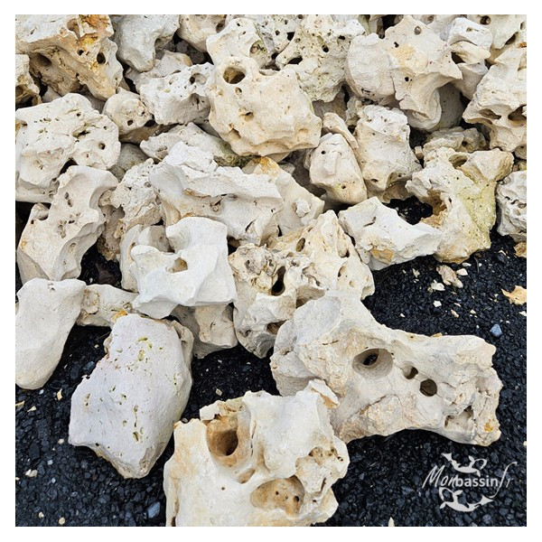 Roche de Lune 200/400 mm – Pierre Calcaire Blanche | MonBassin.fr