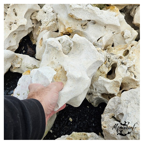 Roche de Lune 200/400 mm gros plan forme sculptée et trous naturels MonBassin