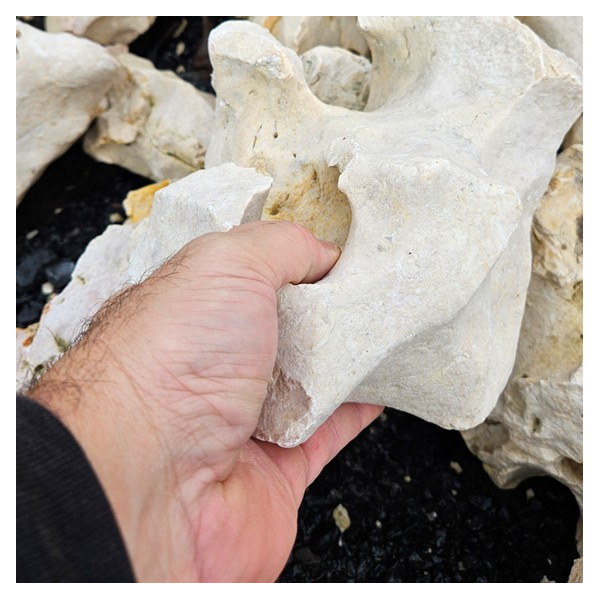 Roche de Lune 200/400 mm calcaire blanc tenue en main cavités naturelles MonBassin