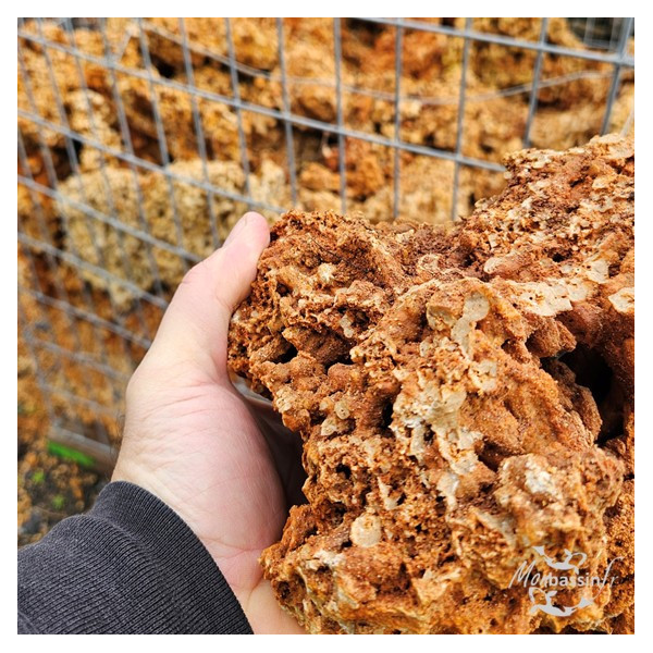 Roche Spaghetti 100/300 mm – Calcaire Alvéolaire | MonBassin.fr