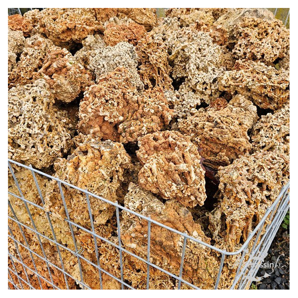 Roche Spaghetti 100/300 mm – Calcaire Alvéolaire | MonBassin.fr