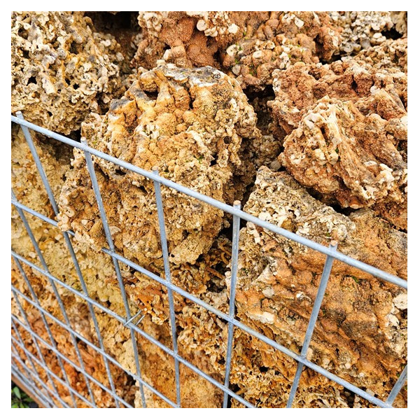 Roche Spaghetti 100/300 mm détail alvéoles et filaments calcaires ocre MonBassin