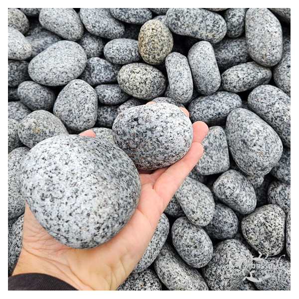 Galet Pepper basalte 60/100 mm dans la main grain poivre et sel gros plan MonBassin
