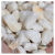 Graviers Quartz Blanc pour Jardins et Bassins