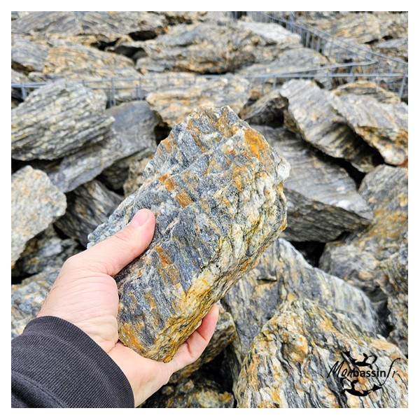 Woodstone 200/400 mm – Roche Gneiss Striée | MonBassin.fr