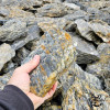 Woodstone 200/400 mm – Roche Gneiss Striée | MonBassin.fr