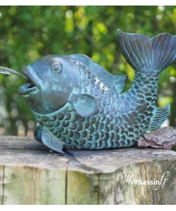 poisson-sujet-cracheur-jet-eau-bord-bassin-fontaine