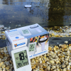 Thermomètre Bassin sans Fil SUPERFISH – Sonde Flottante IP67 | MonBassin.fr