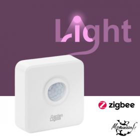 Détecteur de mouvement Zigbee Smart – Éclairage automatique jardin