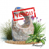 pierre vendu mai 2026