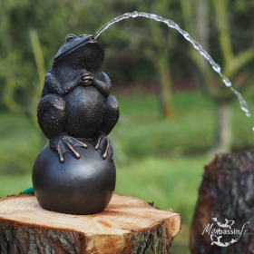 Statue Grenouille sur Ballon Bronze Cracheuse d'Eau | MonBassin.fr