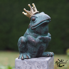 Statue Grenouille Roi Couronnée Bronze | MonBassin.fr