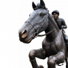 Statue Monumentale Cheval Jockey Bronze | MonBassin.fr