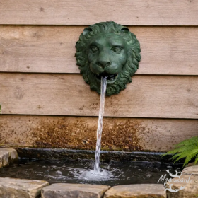 Fontaine Murale Tête de Lion Bronze | MonBassin.fr