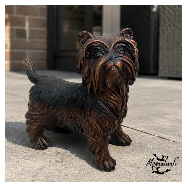 Statue Yorkshire Terrier Bronze Jardin | MonBassin.fr