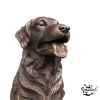 Statue Golden Retriever Bronze Jardin | MonBassin.fr