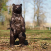 Statue Ourson Bronze Jardin | MonBassin.fr