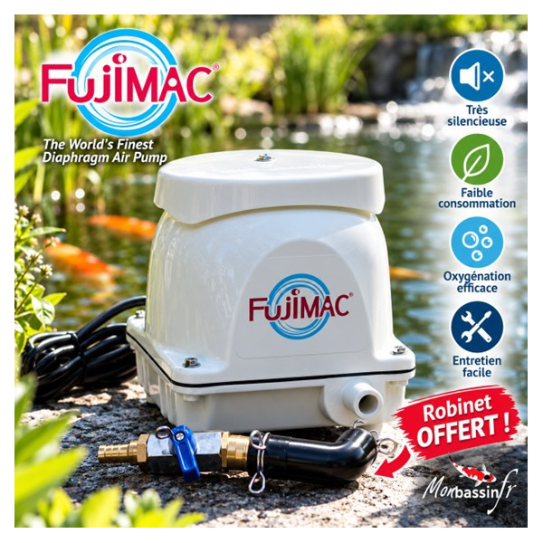 Pompe air Fujimac® 100