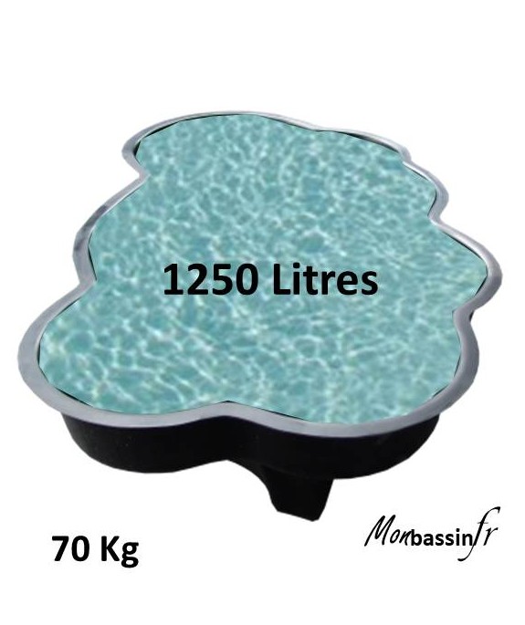 Bassin - Préformé 1250 Litres