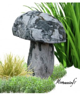 Champignon pierre - GOSHIKI