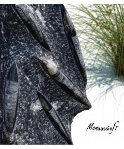 Pierre décorative - Menhir Fossil rare