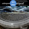 Nourriture Esturgeon Digest 4.5mm