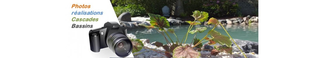photos et images de bassins jardins et cascades
