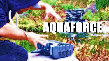 Voir la pompe aquaforce