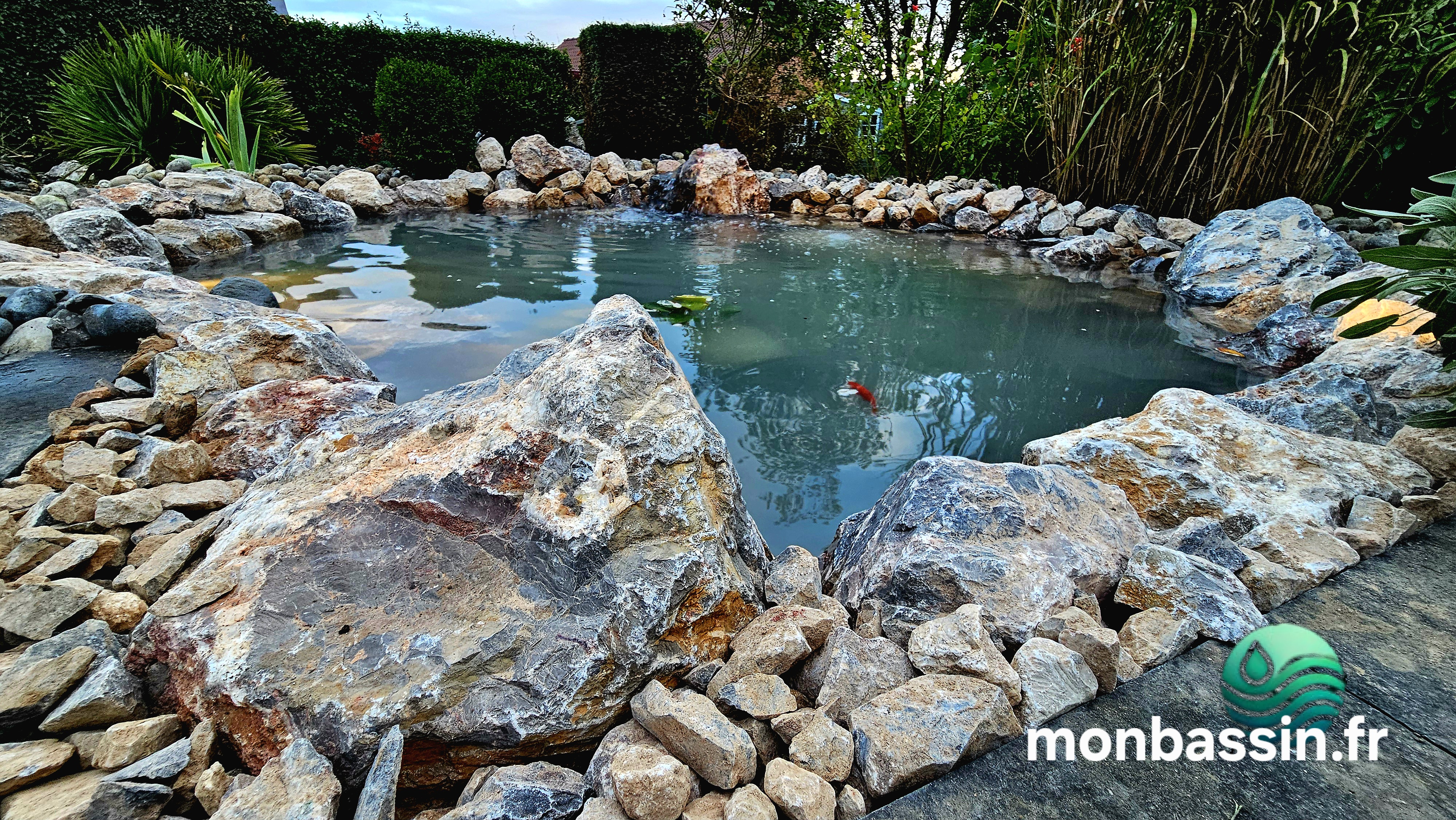 Bassin 4500 litres rempli avec enrochement et plantes aquatiques