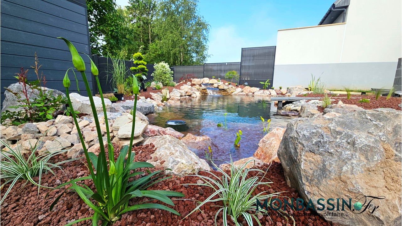 Bassin de jardin comme investissement immobilier