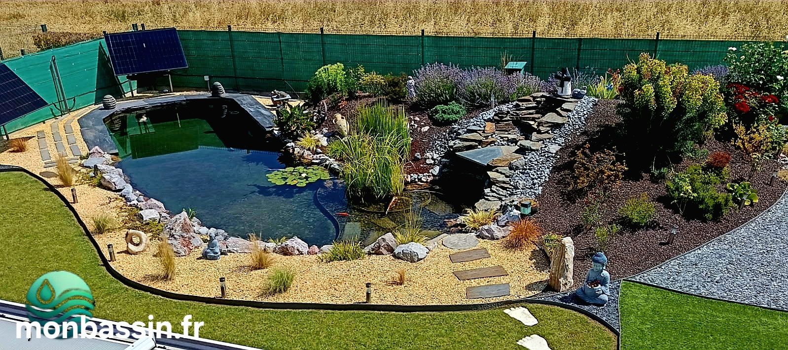 Bassin de jardin sublime avec plantes aquatiques