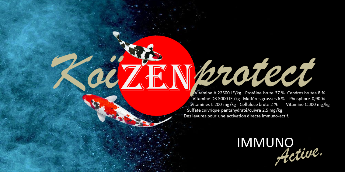 Koi Zen Protect