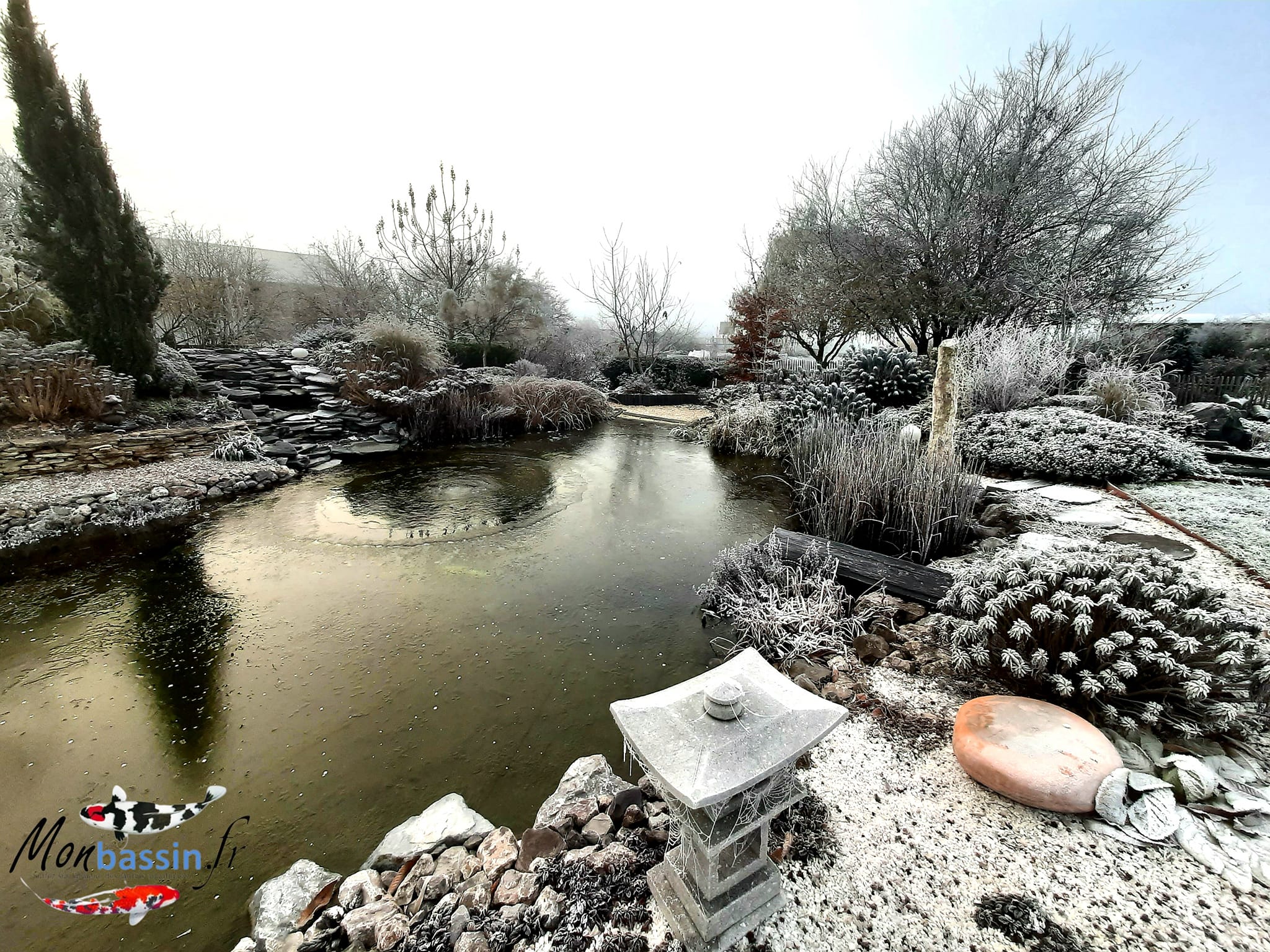 bassin en hiver