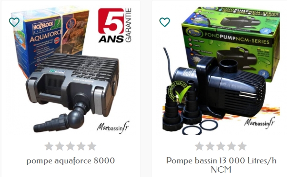 voir pompe bassin