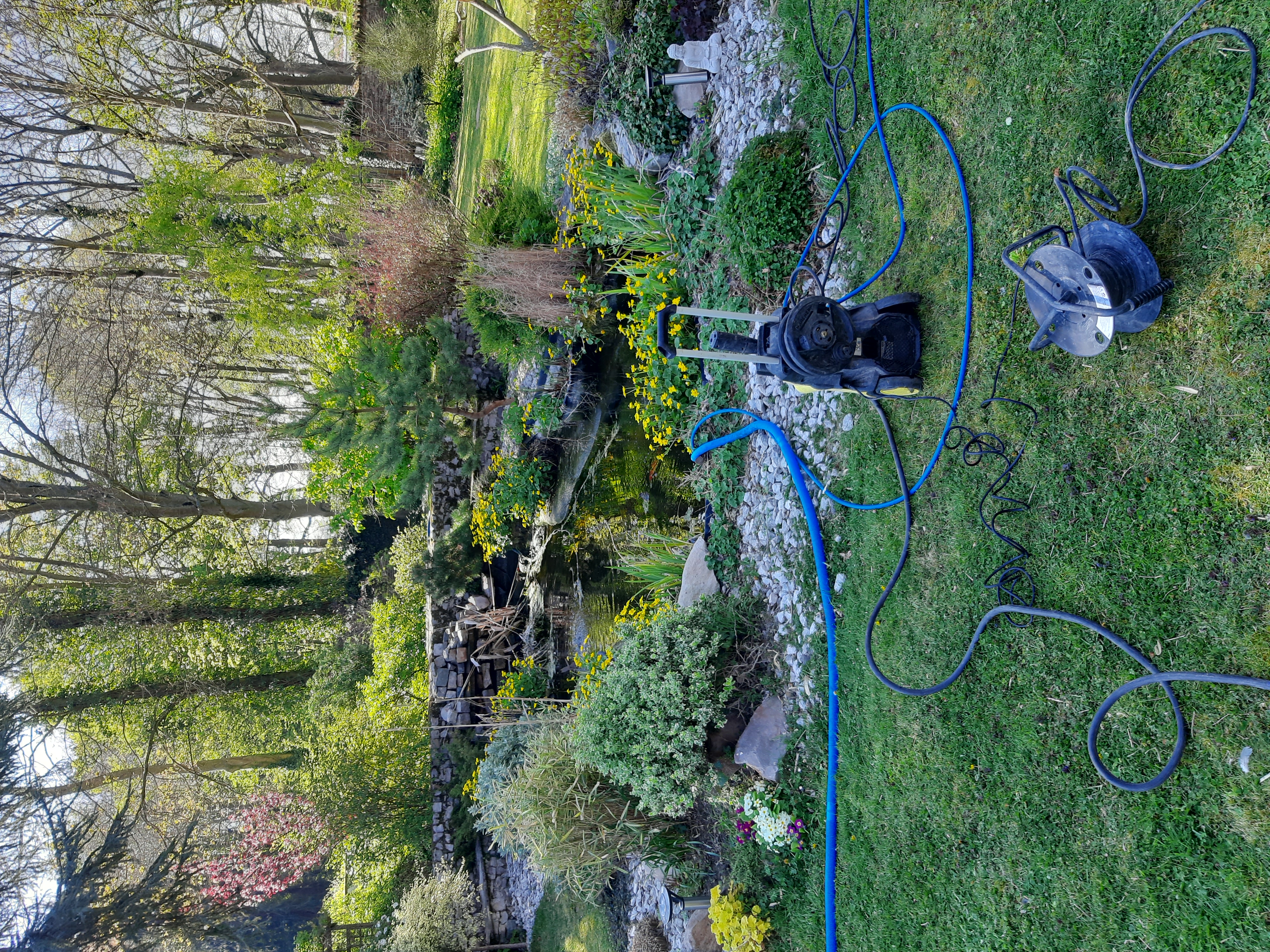 Entretien professionnel de bassin BASSIN CLEAN